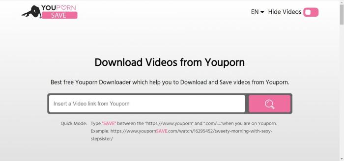TOP 10 YouPorn Downloaders Review: Download YouPorn Videos in Easy Steps TOP 10 YouPorn Downloaders Review: Download YouPorn Videos in Easy Steps
